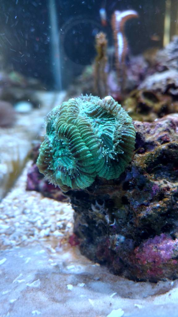 IMG_20190427_162648045_HDR.jpeg