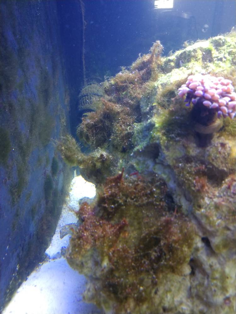IMG_20190430_121611274.jpeg