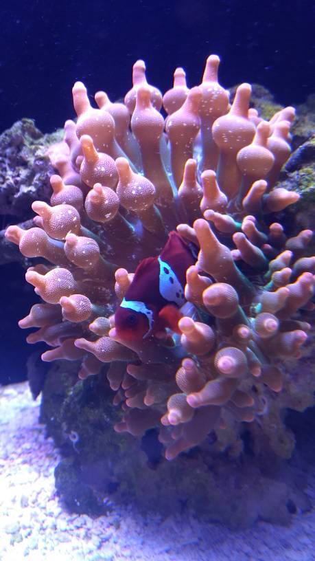 IMG_20190506_190534574.jpeg