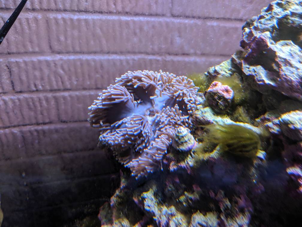 IMG_20190529_192240.jpeg
