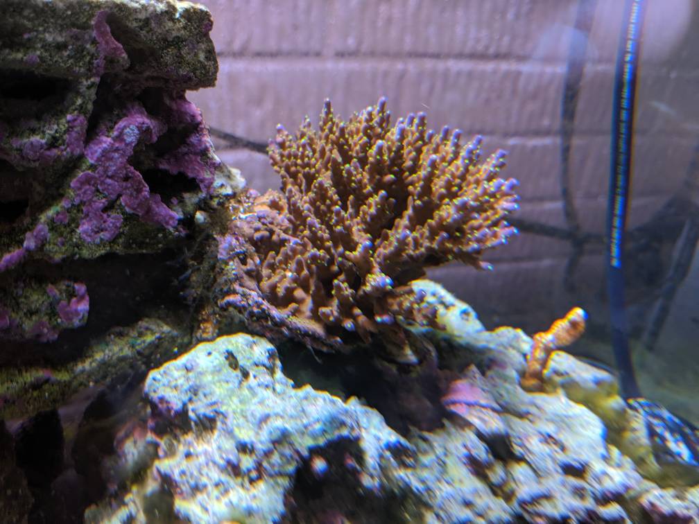 IMG_20190529_192254.jpeg
