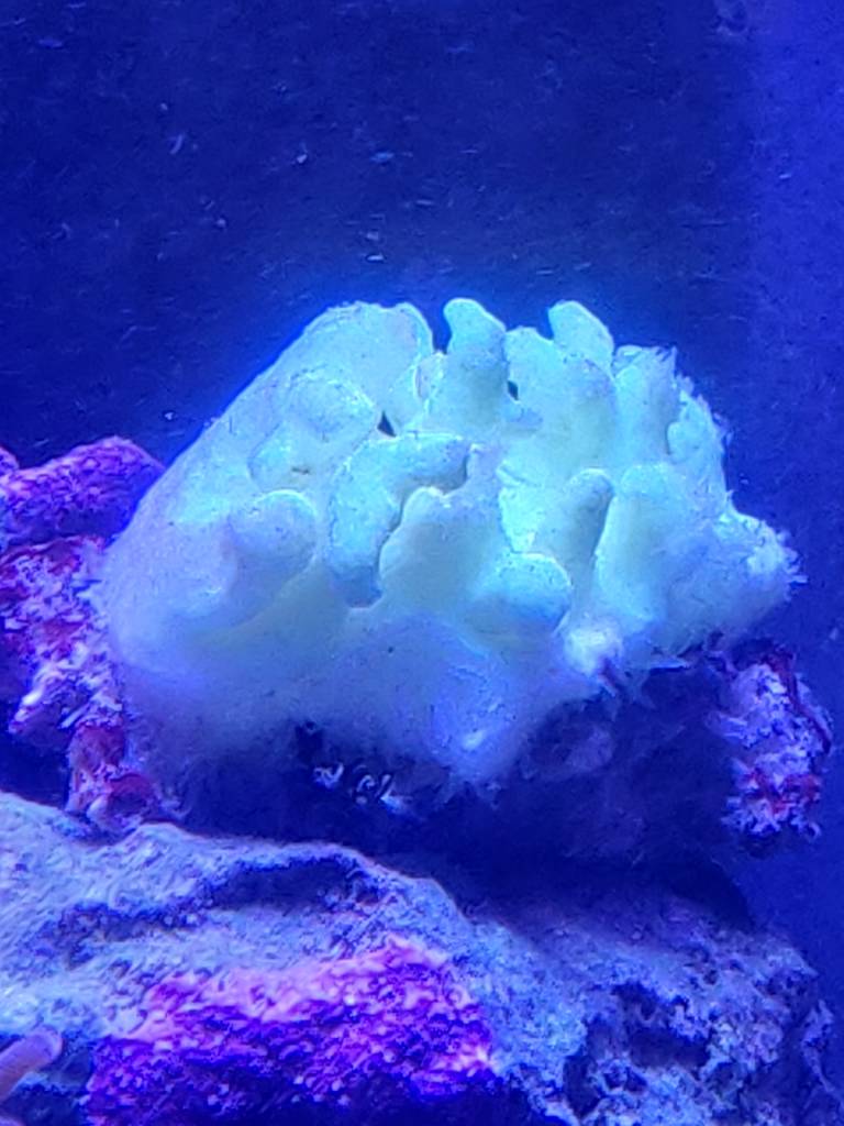 IMG_20190531_203920.jpeg