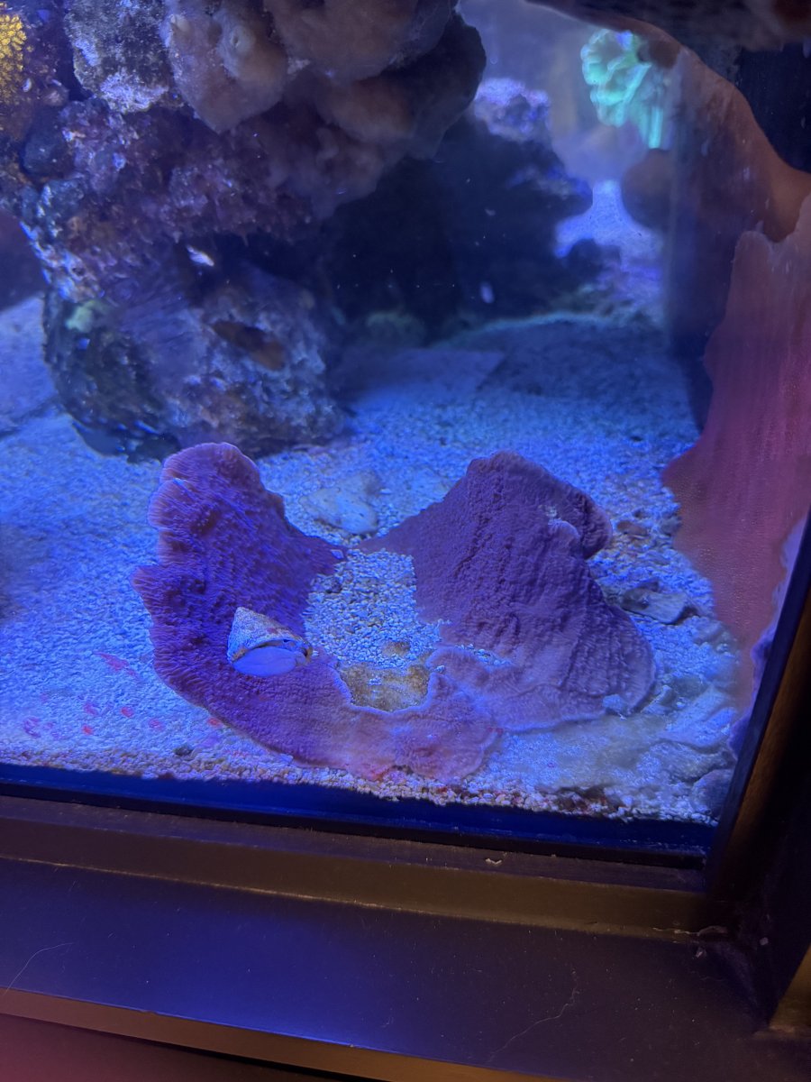 IMG_2020.jpeg