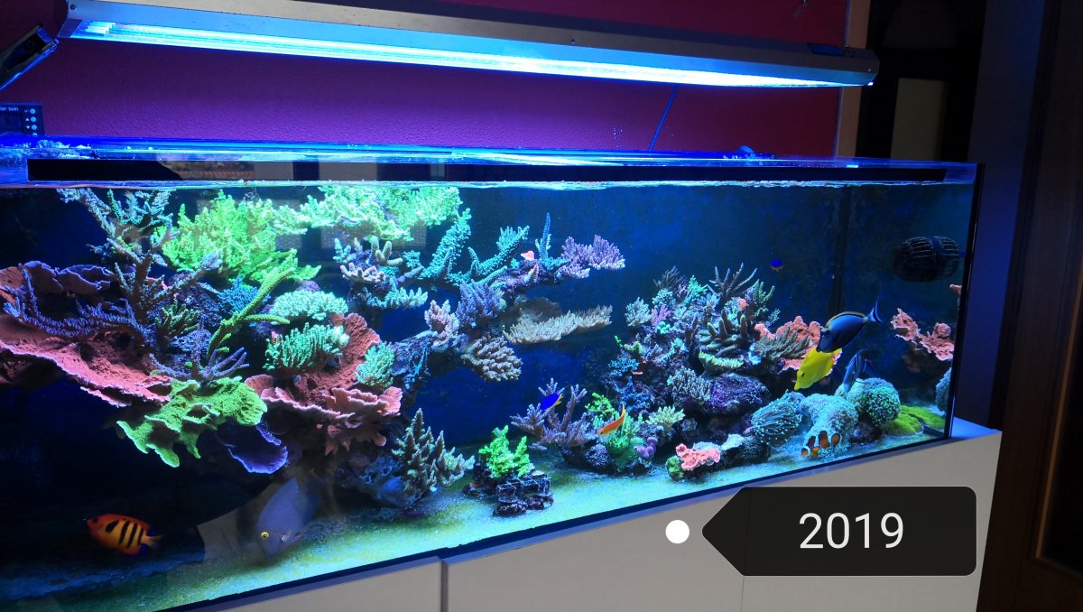 400 litre fish tank shop