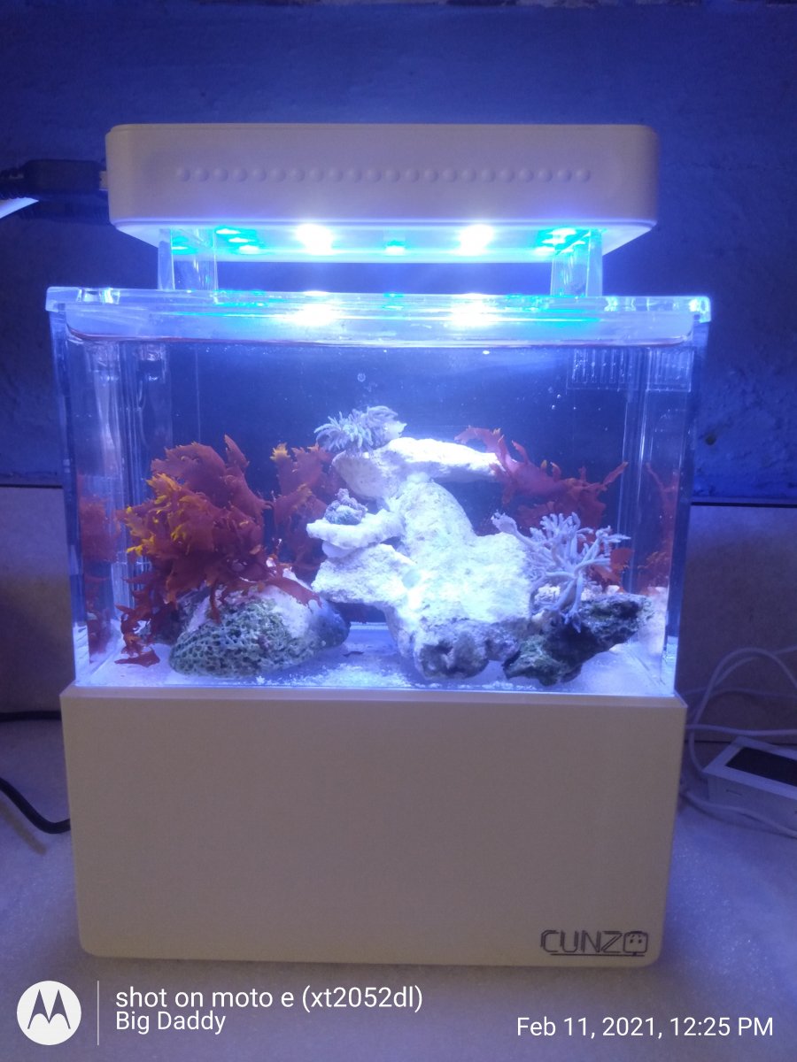 Nano Build Mini all in one REEF2REEF Saltwater and Reef
