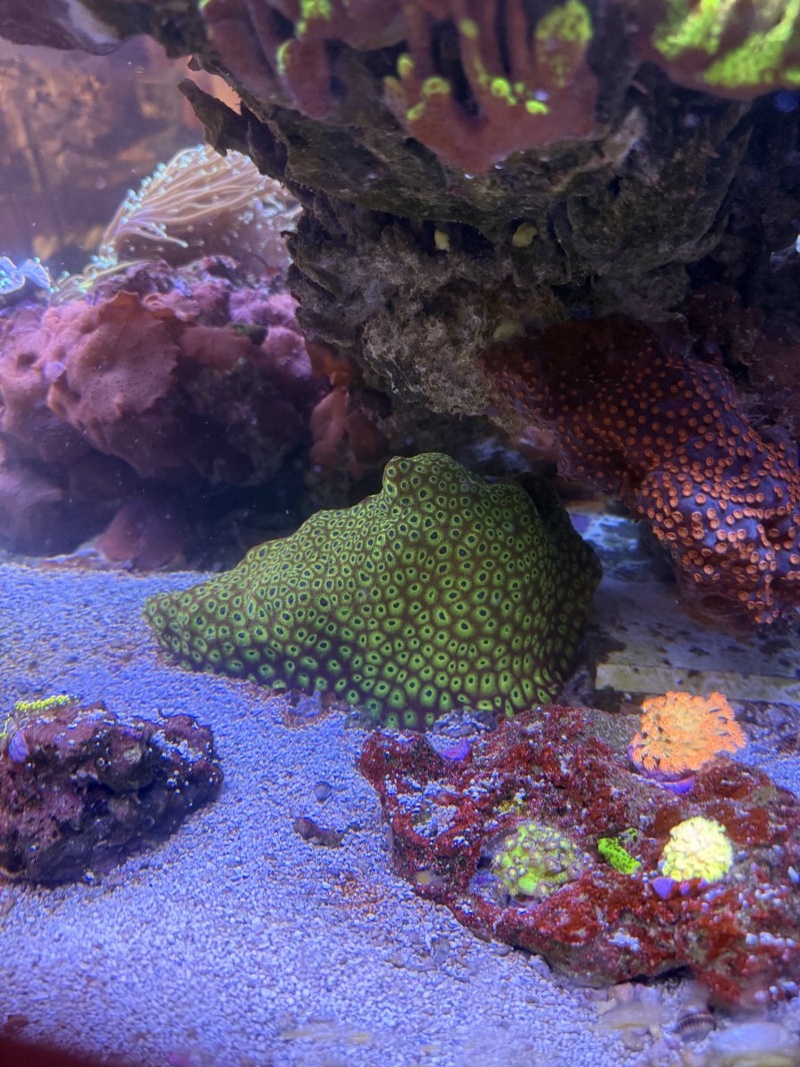 IMG_2022.jpeg