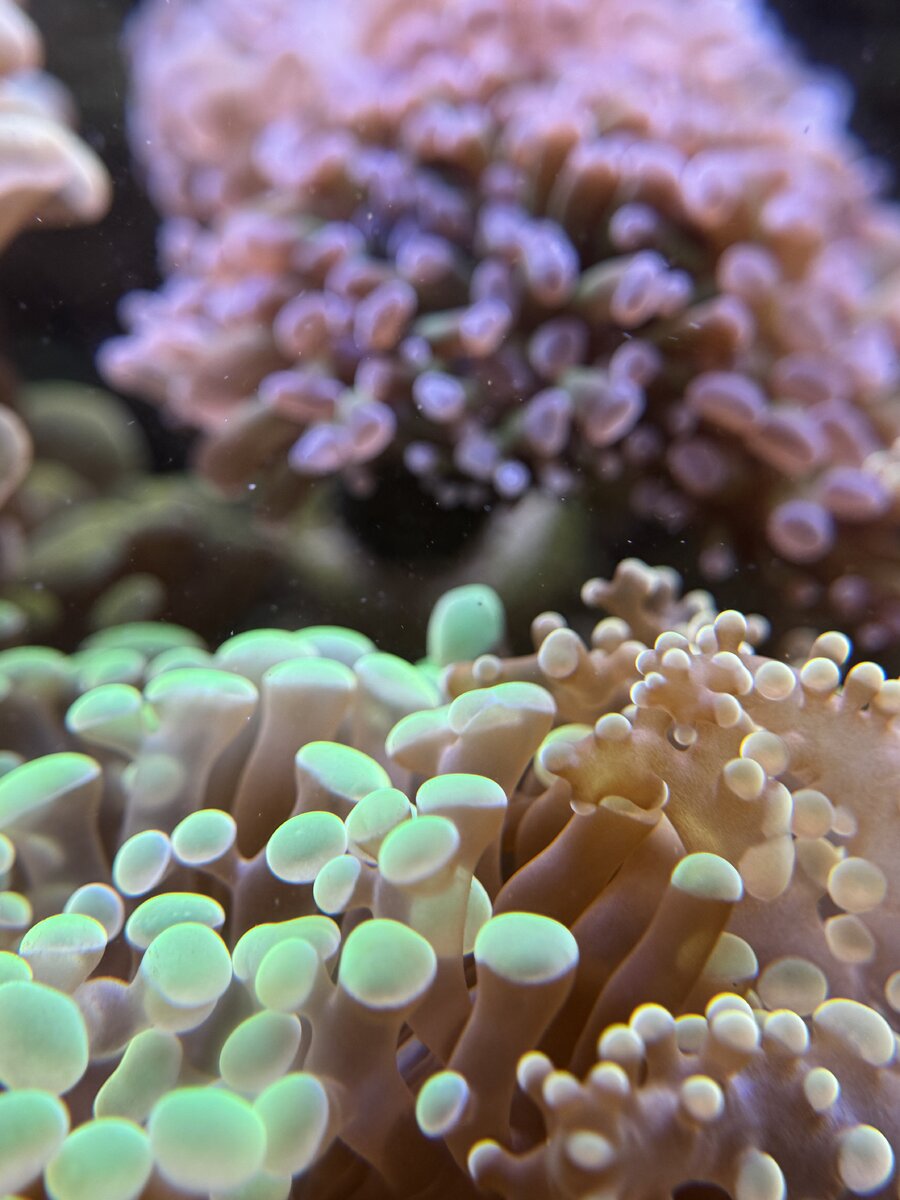 IMG_2022.jpeg