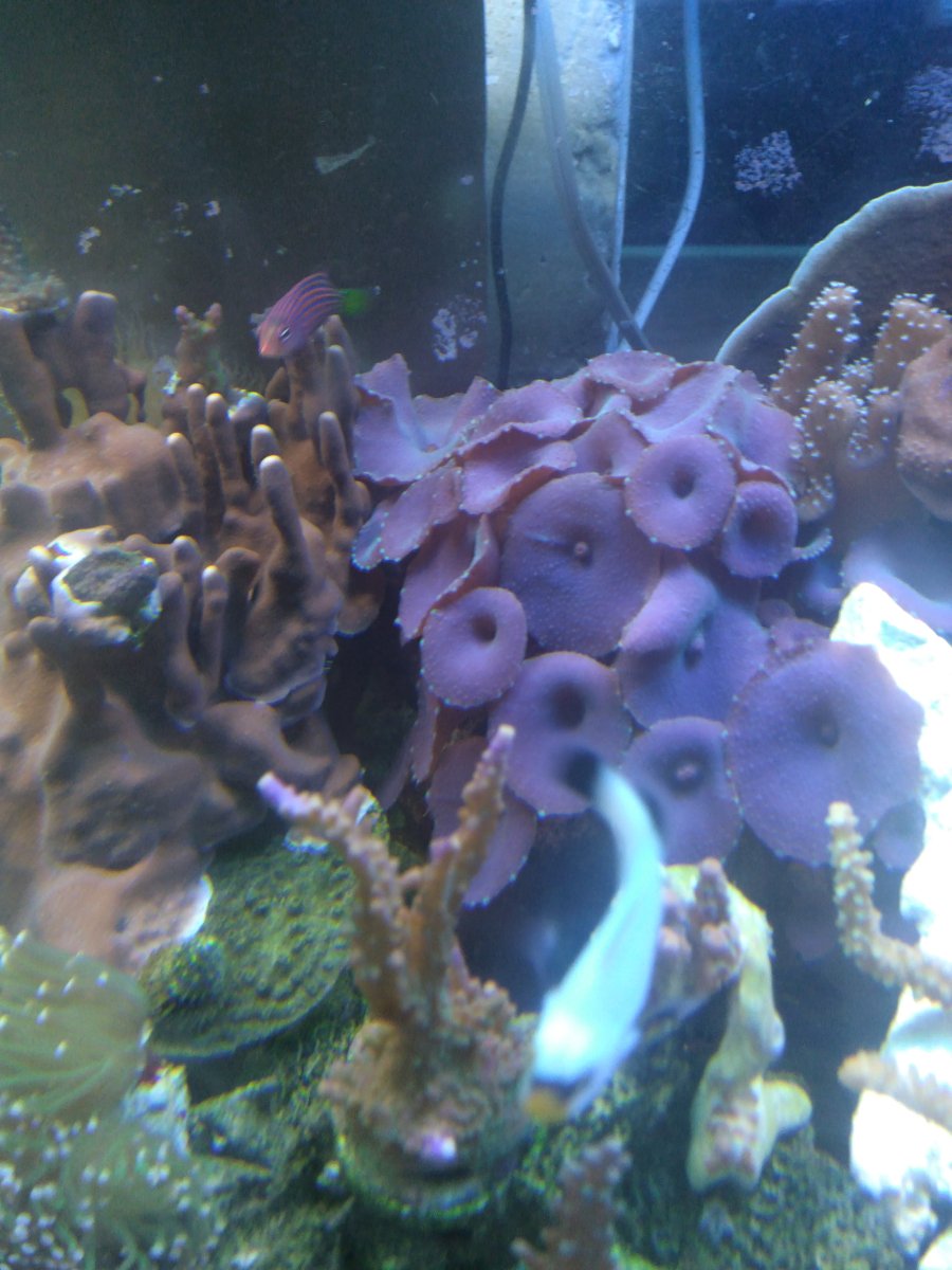 IMG_20230614_163553_915.jpg