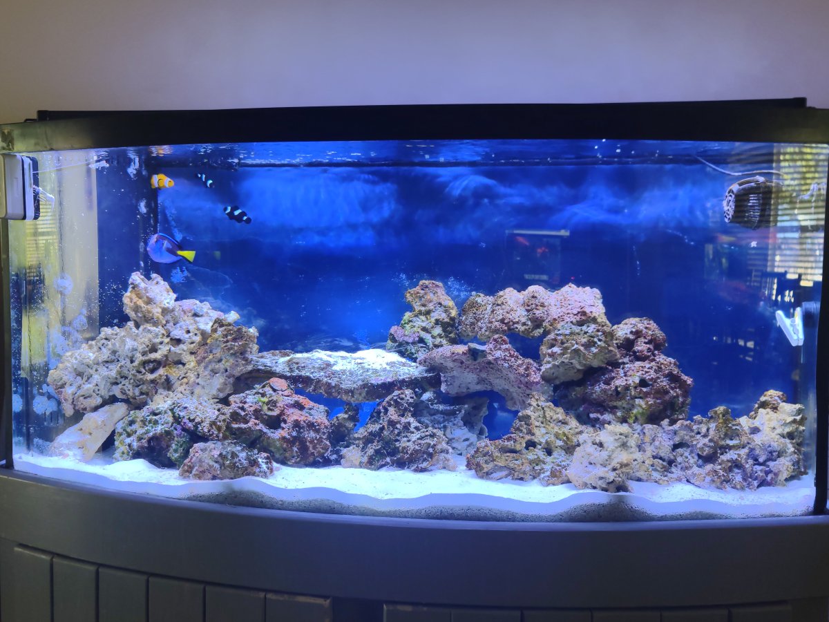 Second hand tank first time hobbiest Reef2Reef