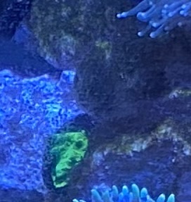 IMG_2028.jpeg