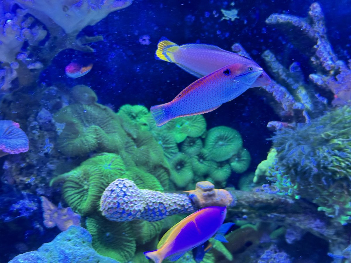 IMG_2028.jpeg