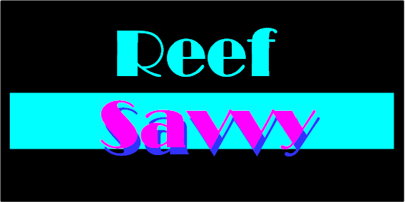 IMG_2029.PNG