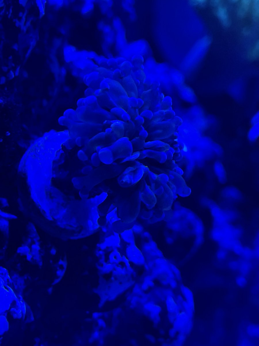 IMG_2030.jpeg