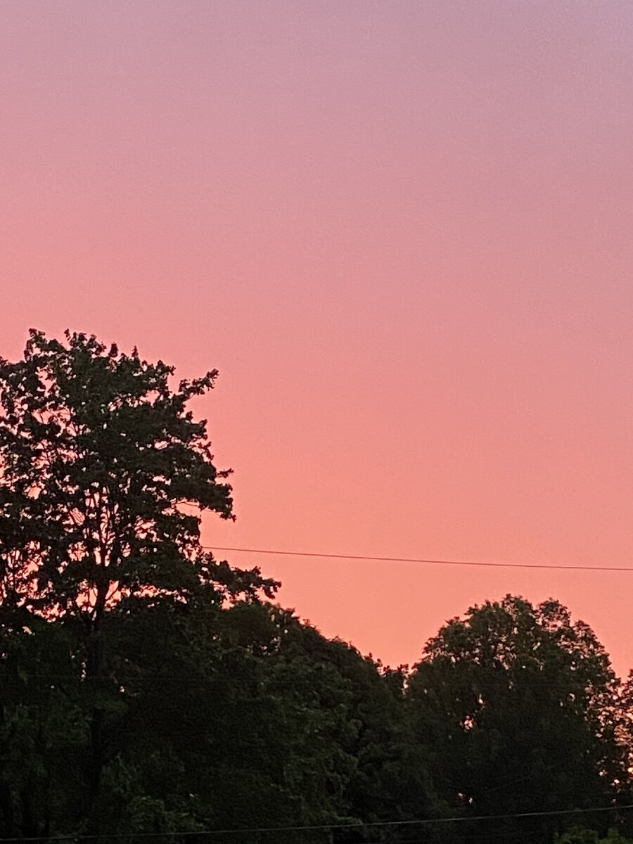 IMG_2036.jpeg