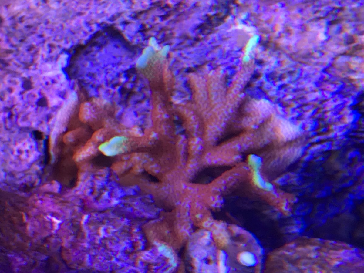 IMG_2041.JPG