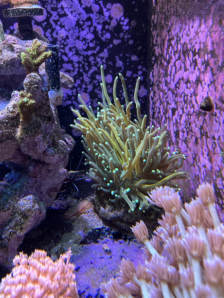 IMG_2059.jpeg