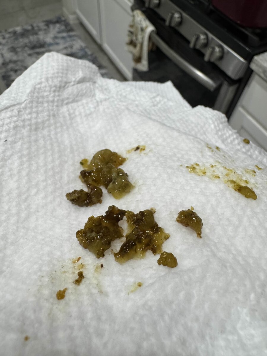 Brown bacteria on rocks? | Reef2Reef