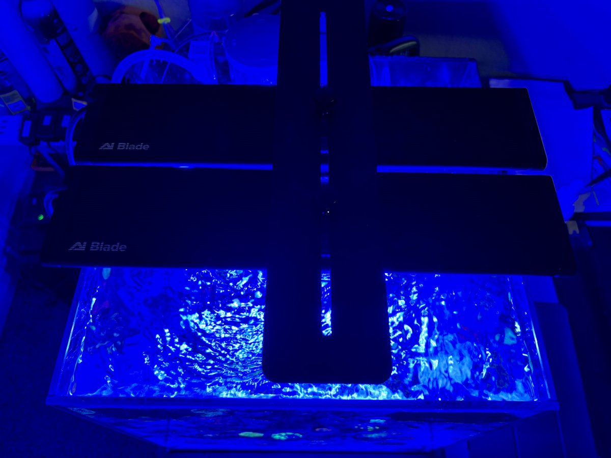 IMG_2066.jpeg