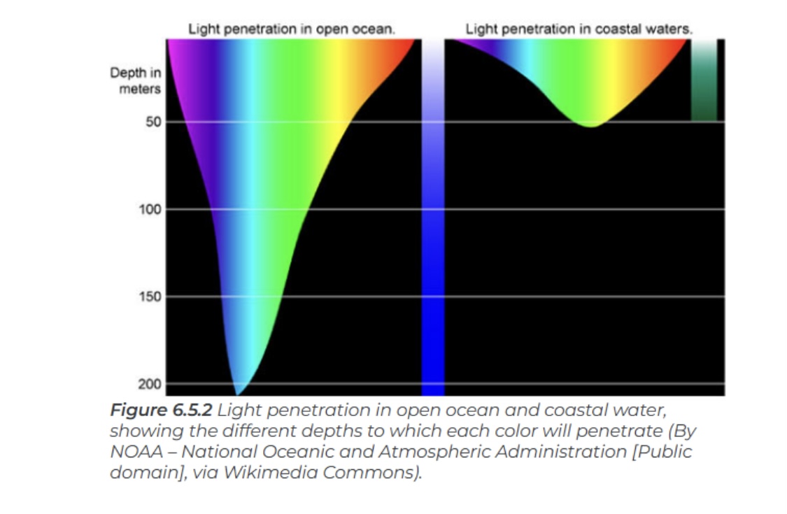 Natural light spectrum.. Why do we use these so much blue lights ...