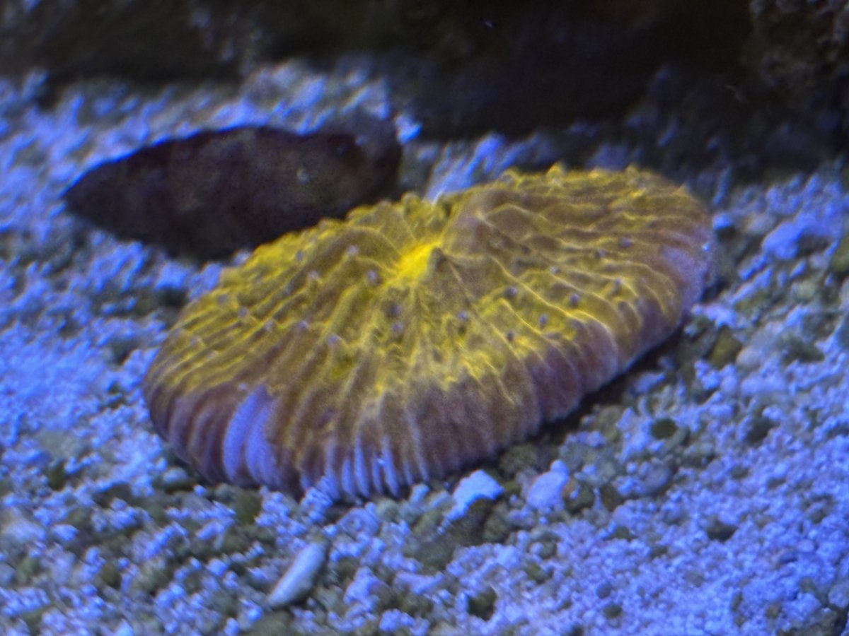 IMG_2074.jpeg