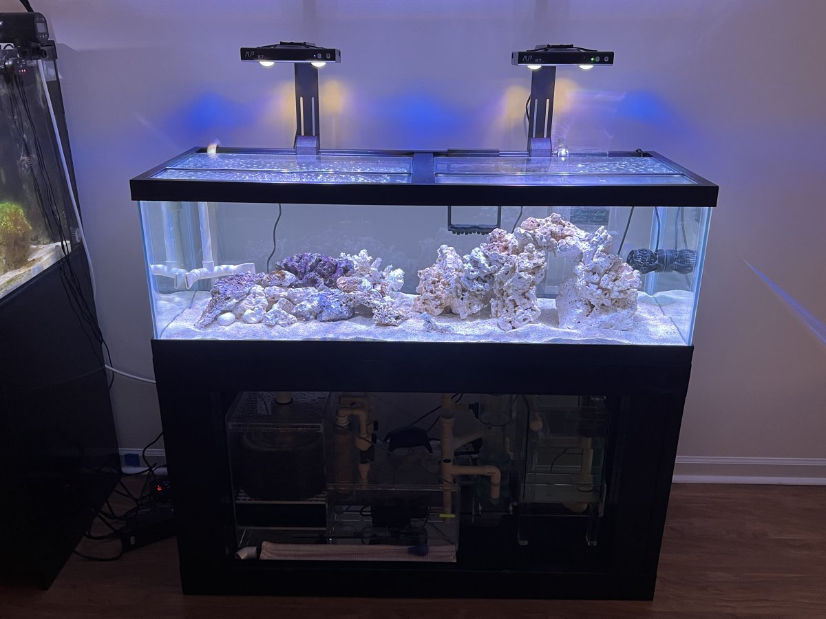 60 Gallon Breeder Build Reef2Reef