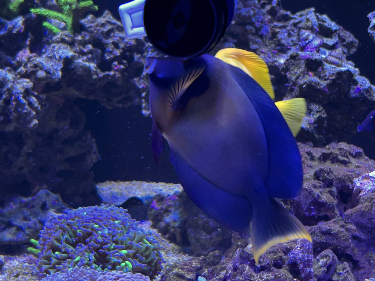 IMG_2098.jpeg