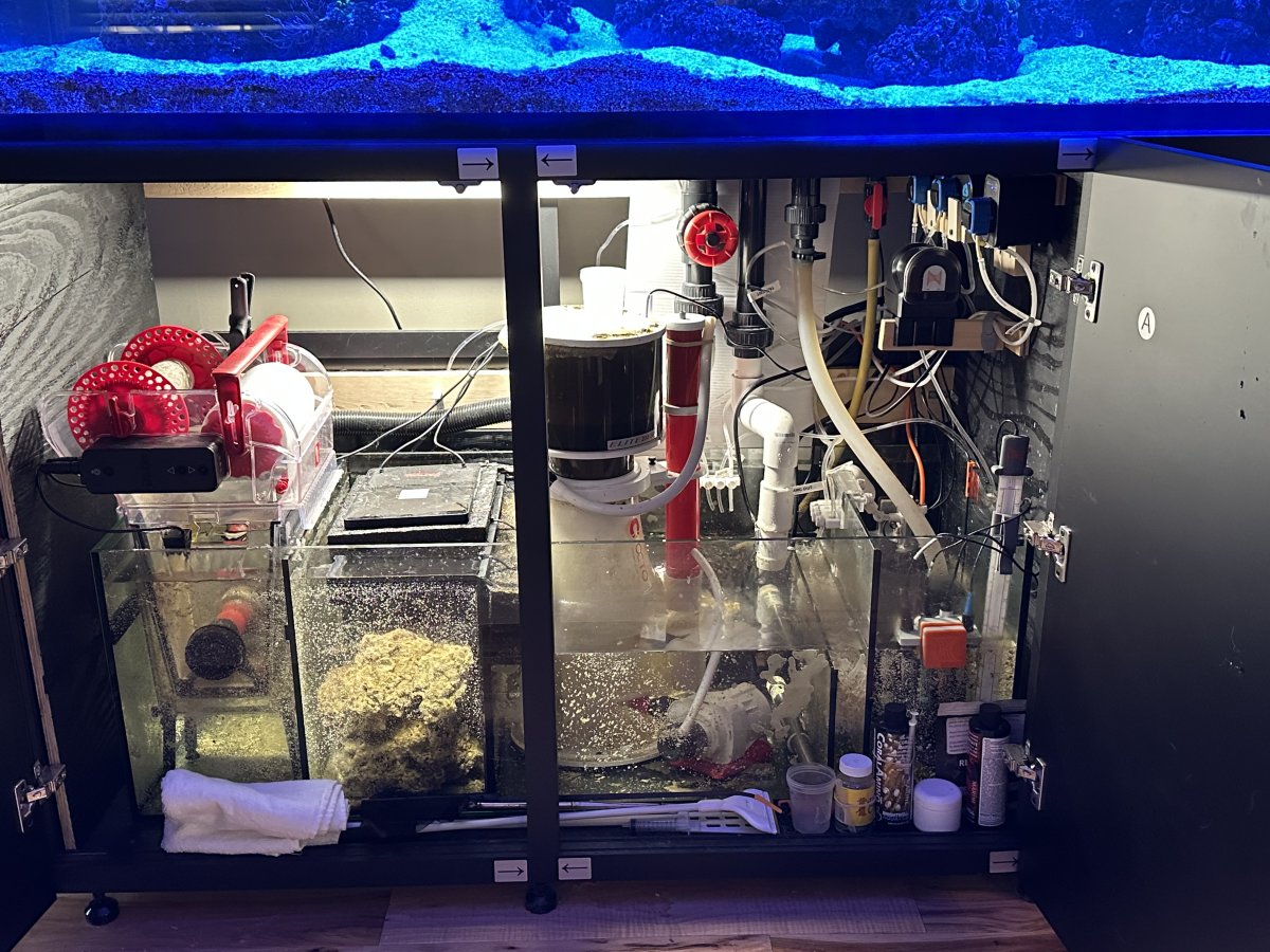 Waterbox Infinia 230.6 build | Page 3 | Reef2Reef
