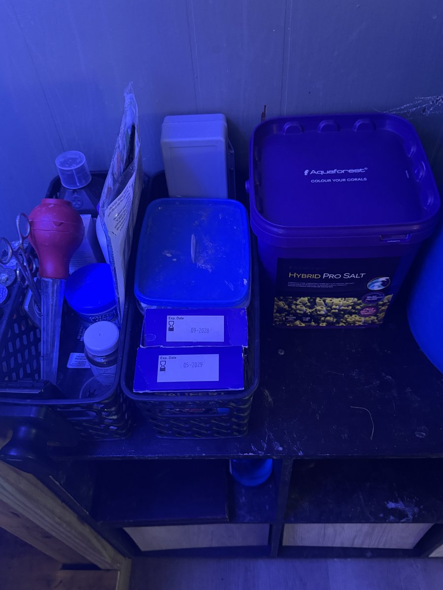 IMG_2106.jpeg