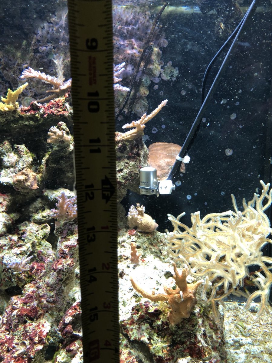 IMG_2108.jpeg