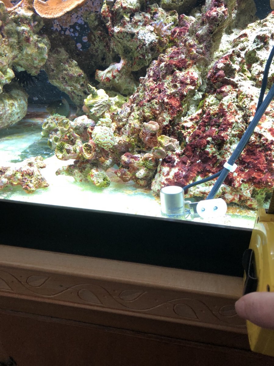 IMG_2109.jpeg