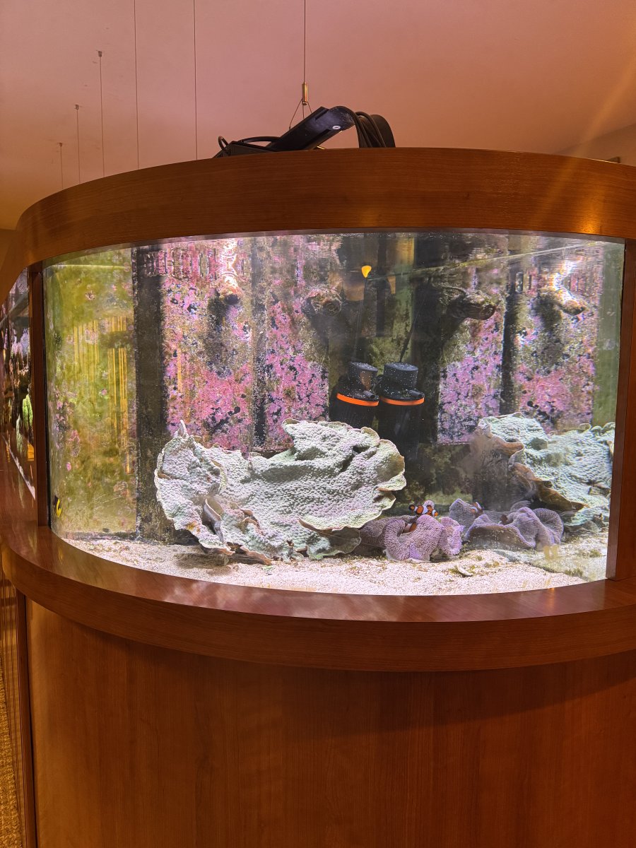 Monster Build - 14 Foot Reef Build 25 year journey | Page 4 | Reef2Reef