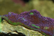 IMG_2113 3x2.jpg