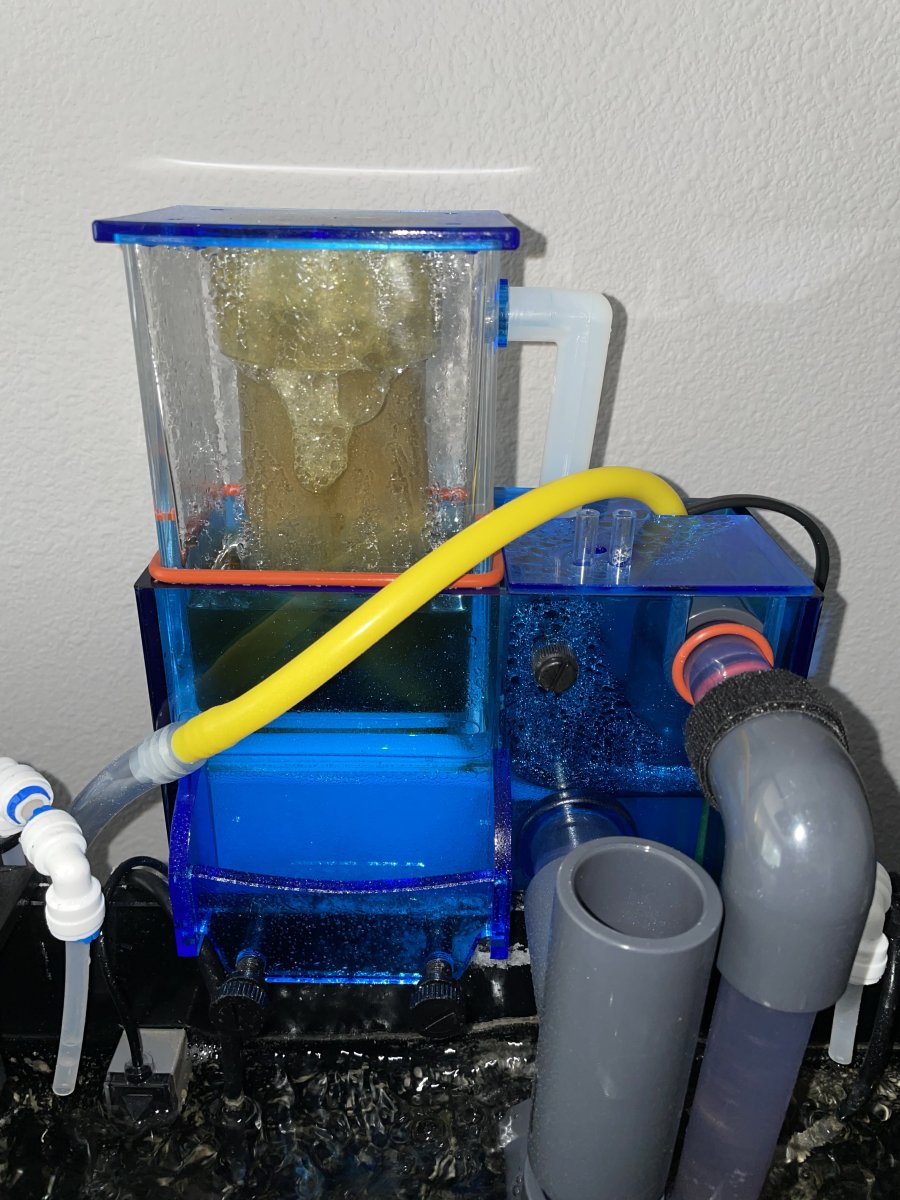 Snapshot of Re Locally Easy Uninterruptible Backup Reef Protein Skimmer