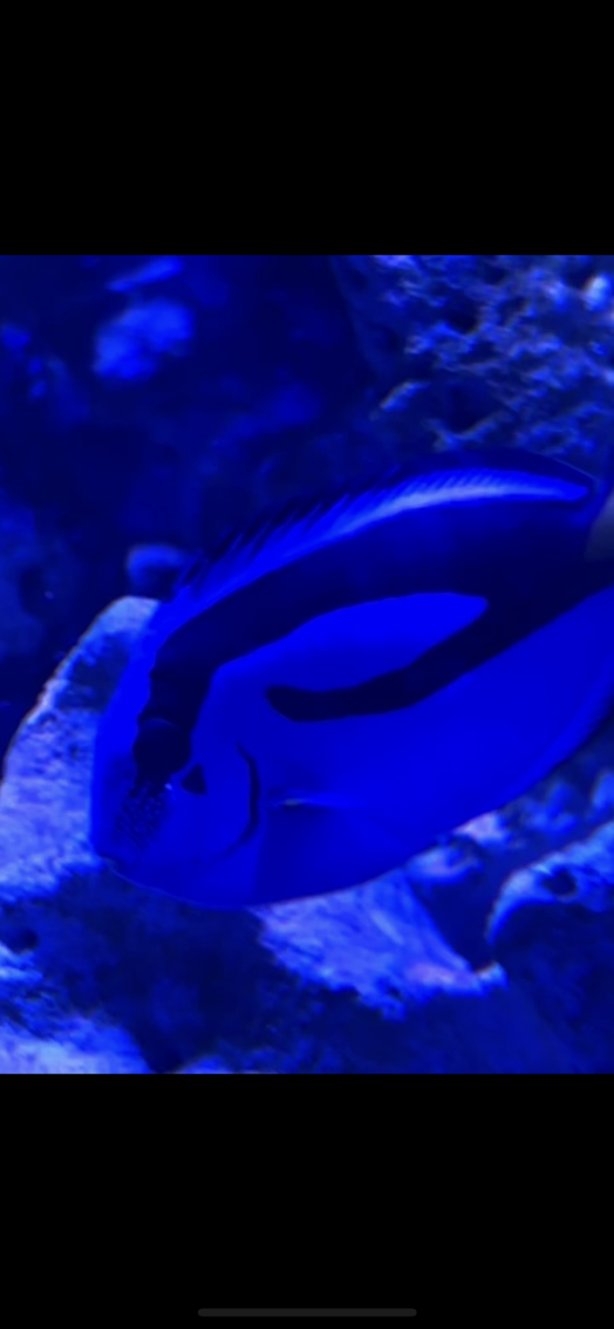 IMG_2152.png