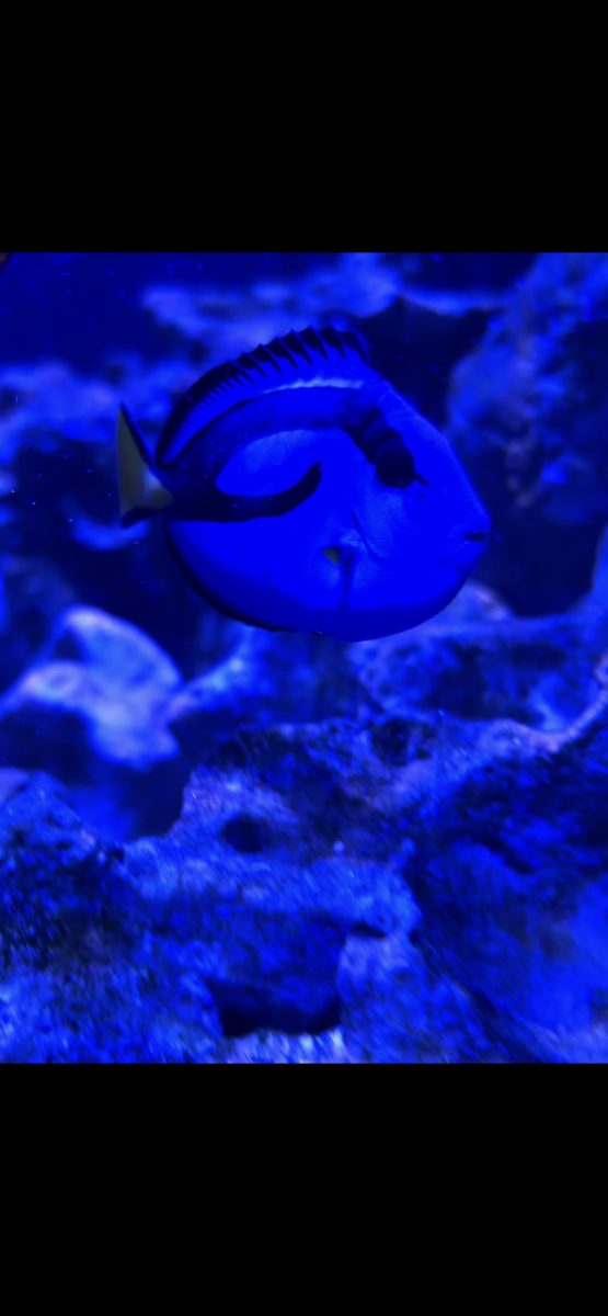 IMG_2153.png