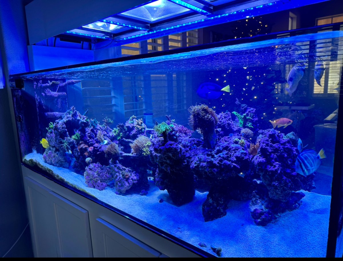 IMG_2156.jpeg