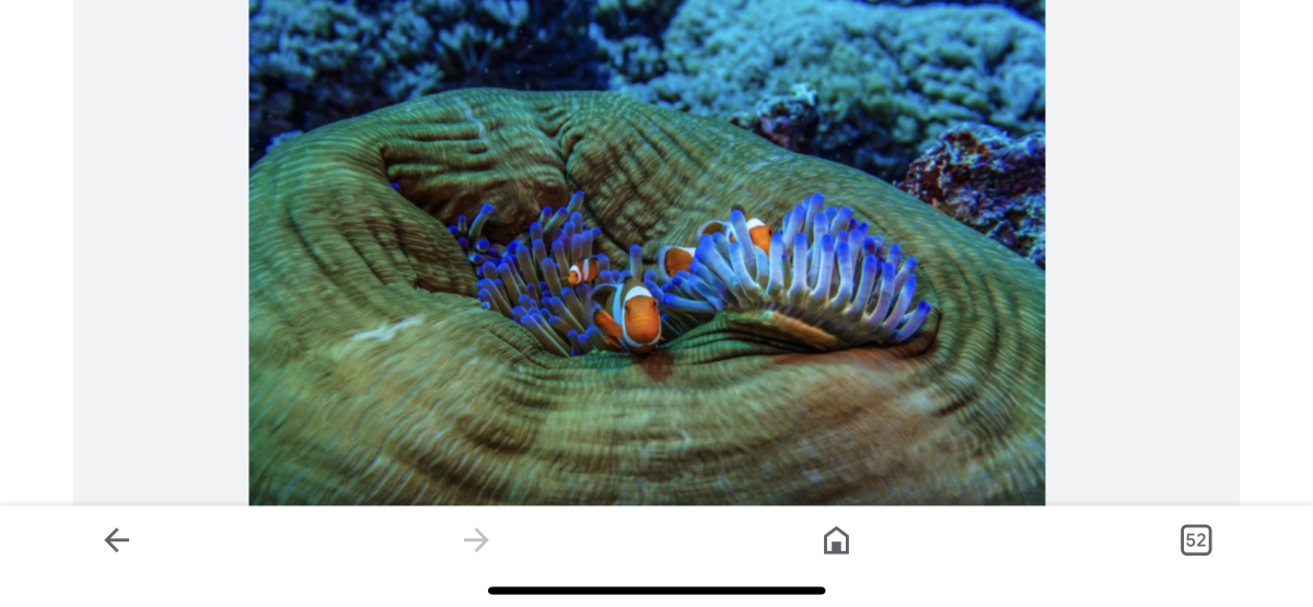 IMG_2166.png