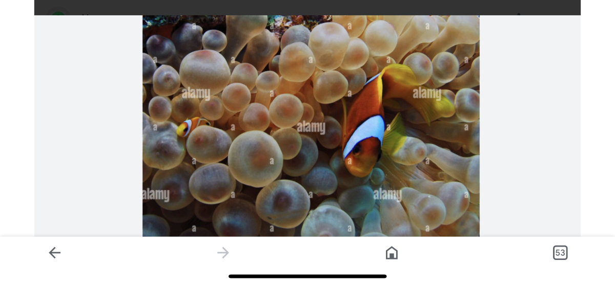 IMG_2167.png