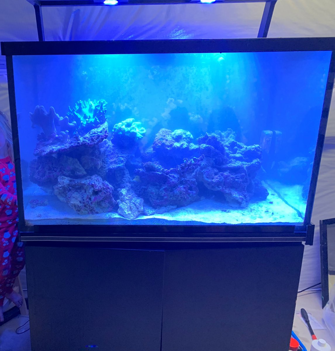 Build Thread Craigslist Special tank Reef2Reef