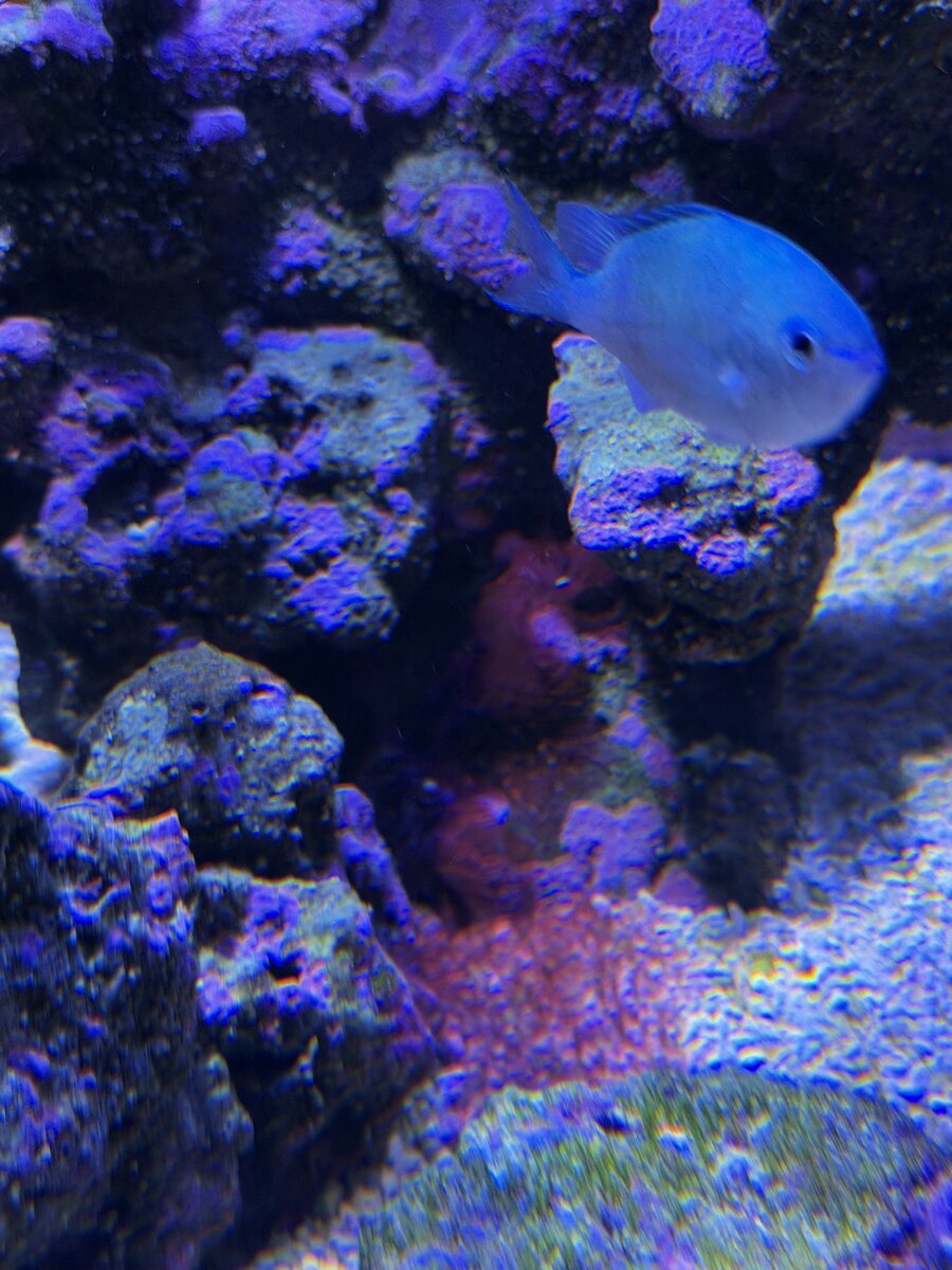 IMG_2171.jpeg