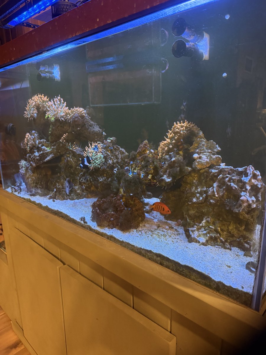 IMG_2192.jpeg