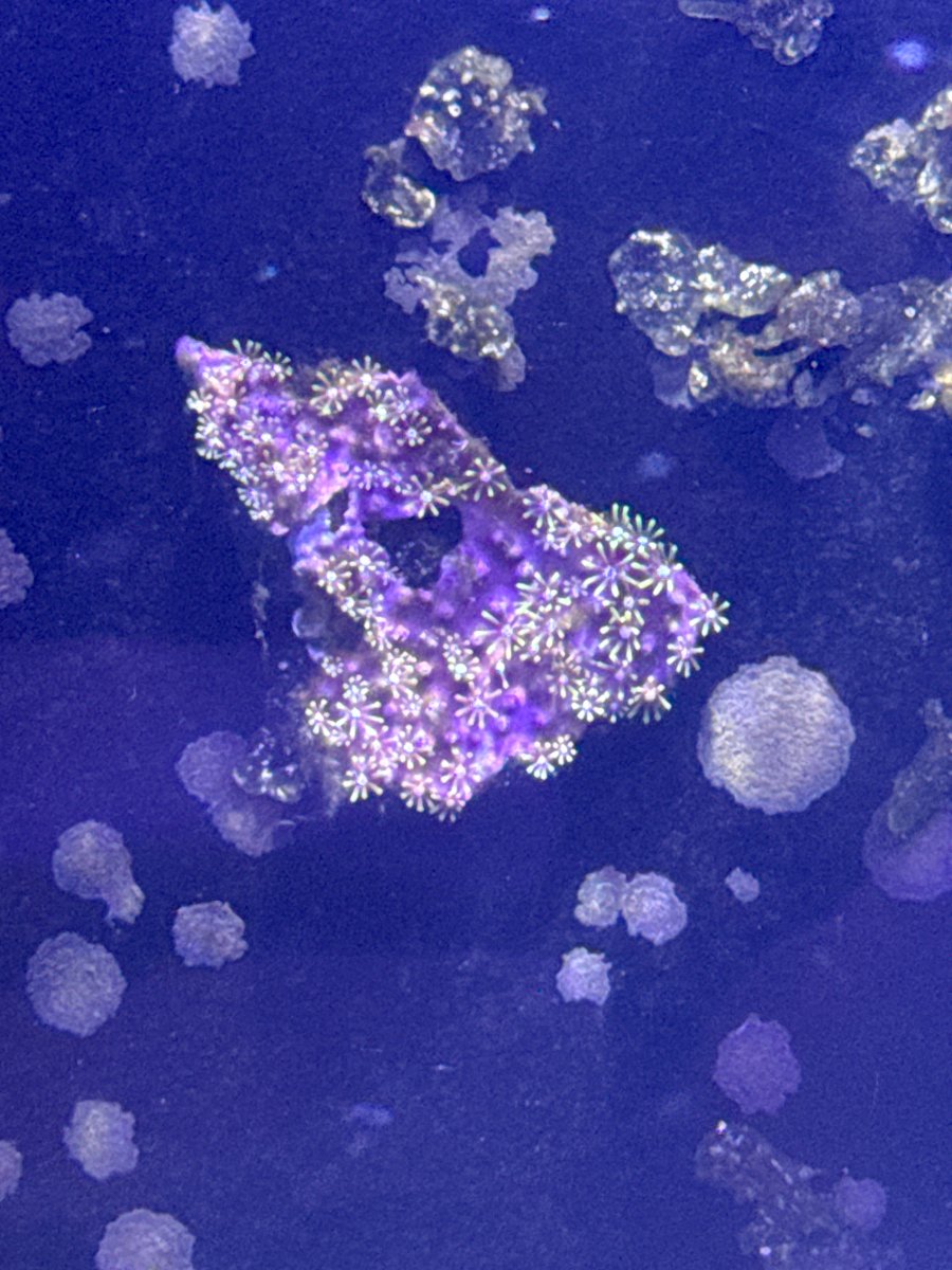 IMG_2244.jpeg
