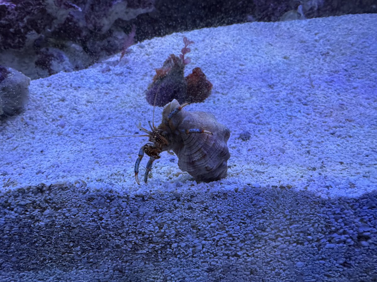IMG_2245.jpeg