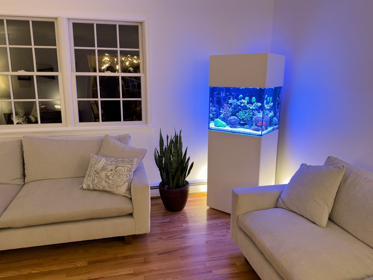 Waterbox Marine X 60.2 DIY canopy | Reef2Reef