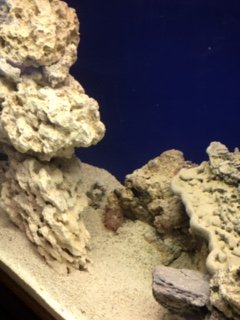 IMG_2260.JPG