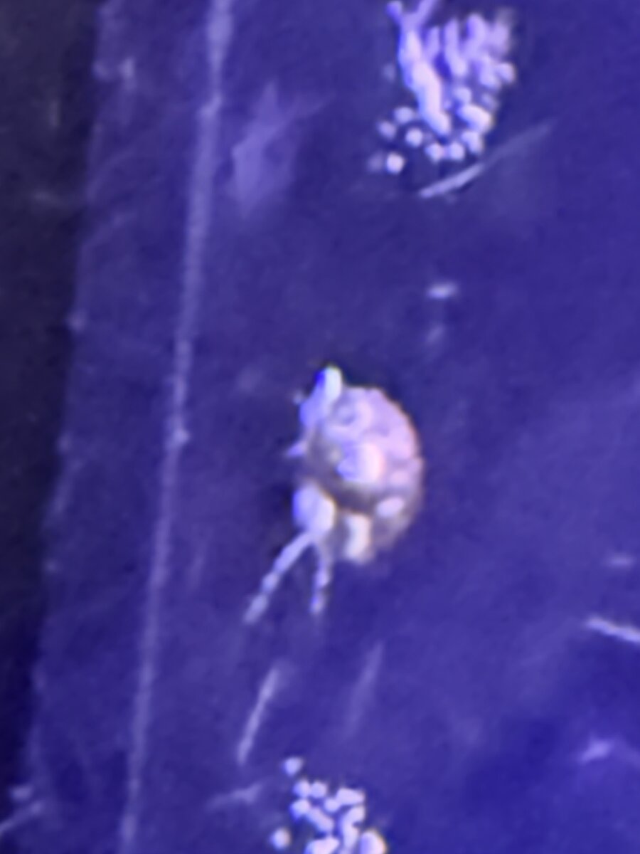 IMG_2305.jpeg