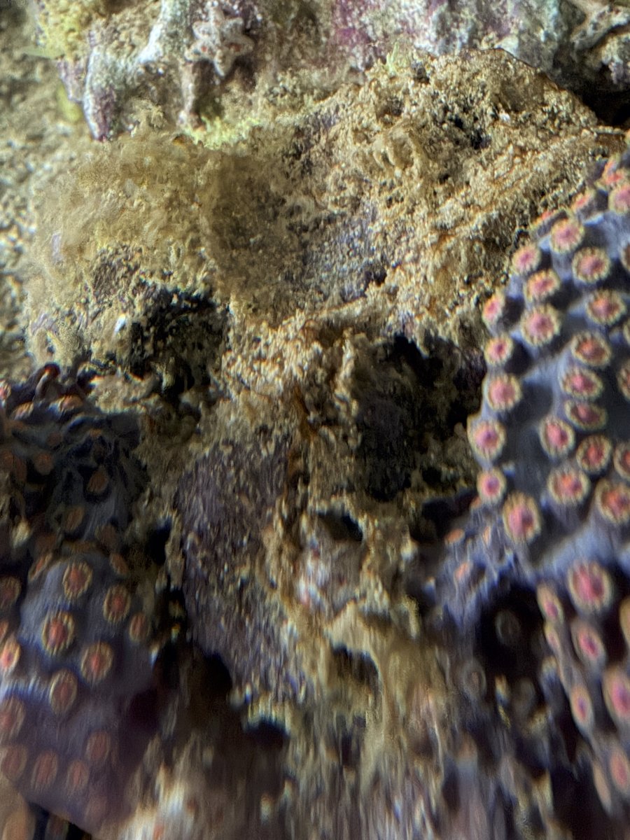 IMG_2309.jpeg