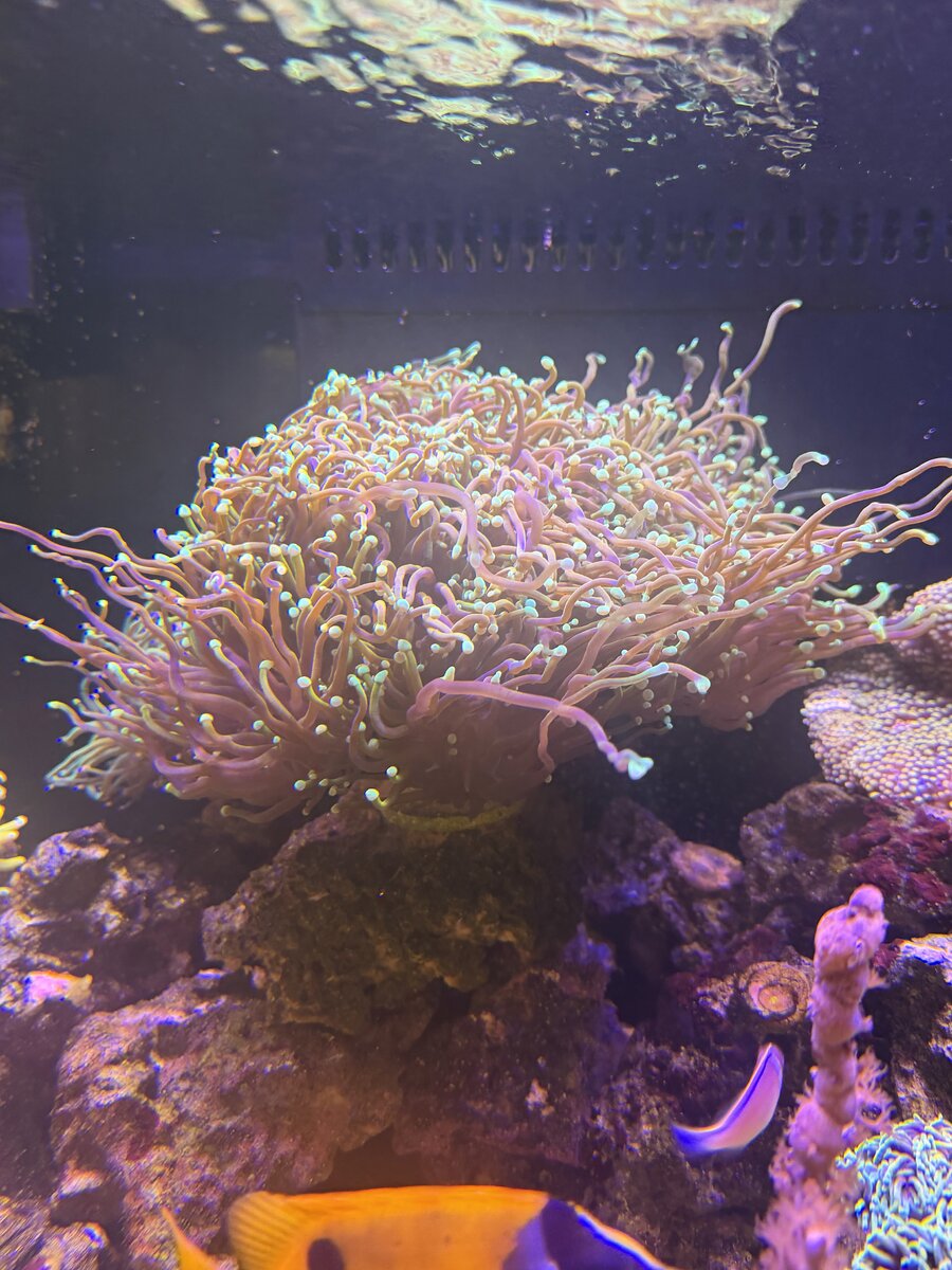 IMG_2309.jpeg