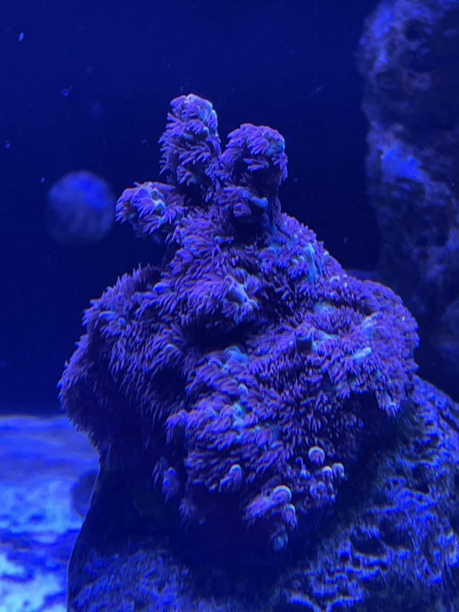 IMG_2326.jpeg