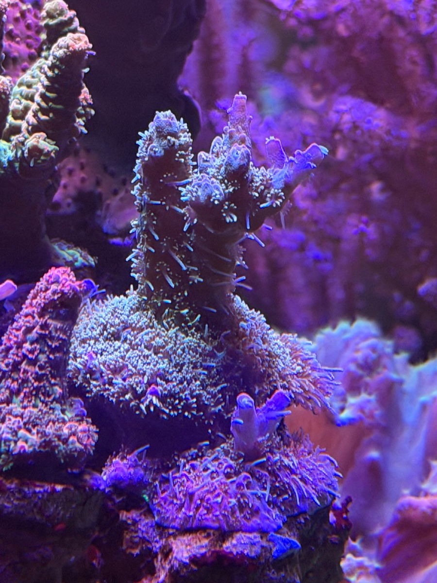IMG_2326.jpeg